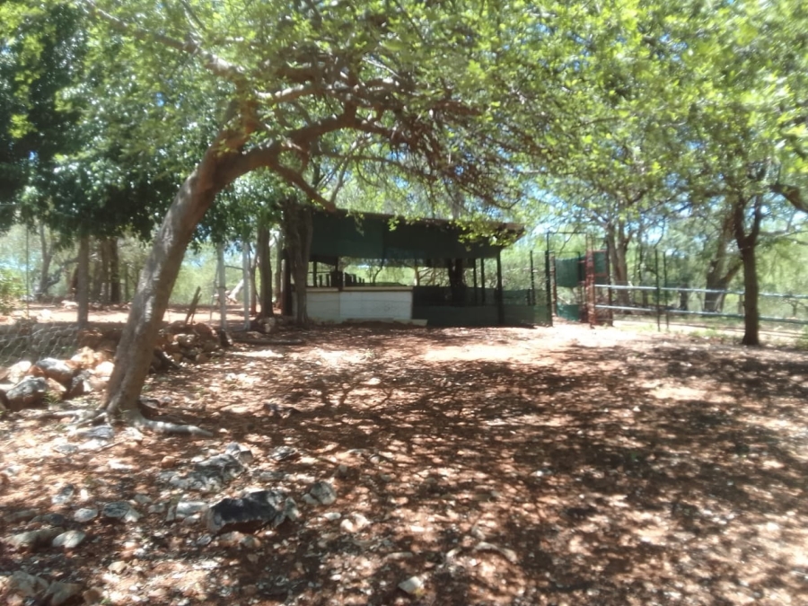 3 Bedroom Property for Sale in Musina Limpopo