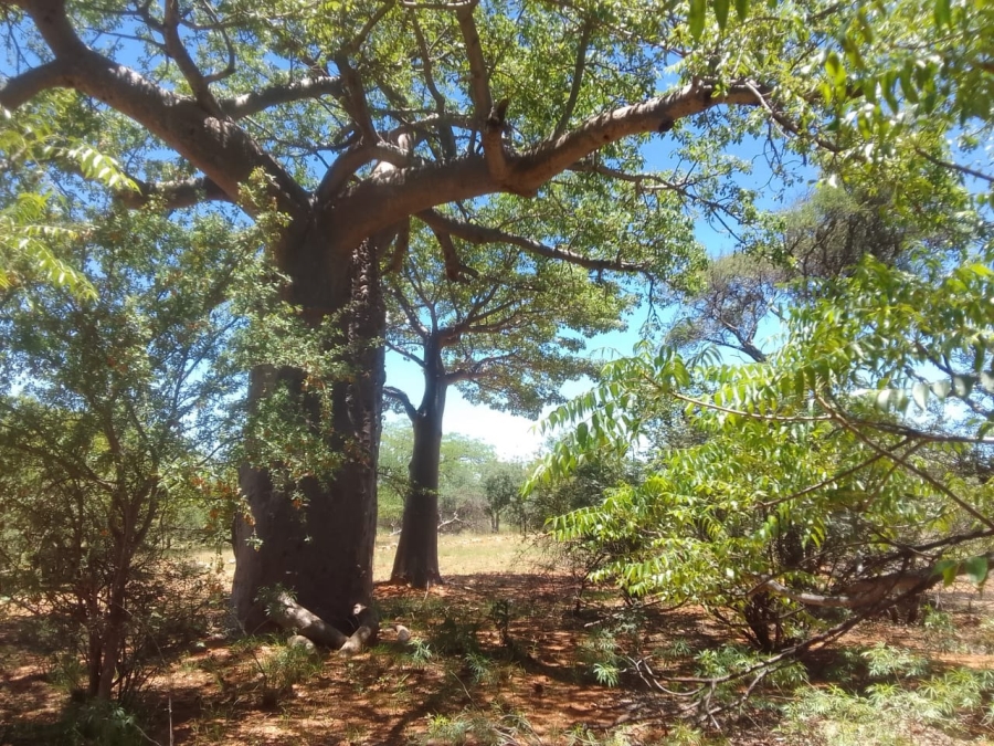 3 Bedroom Property for Sale in Musina Limpopo