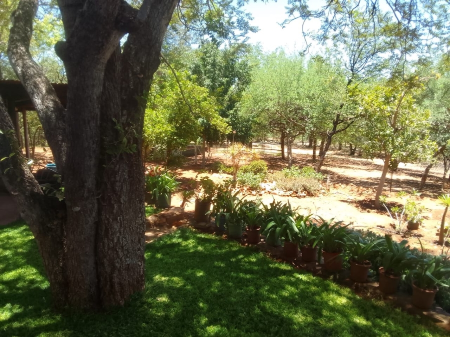 3 Bedroom Property for Sale in Musina Limpopo