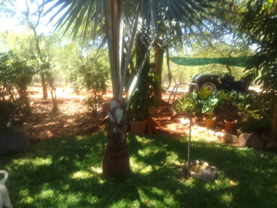 3 Bedroom Property for Sale in Musina Limpopo