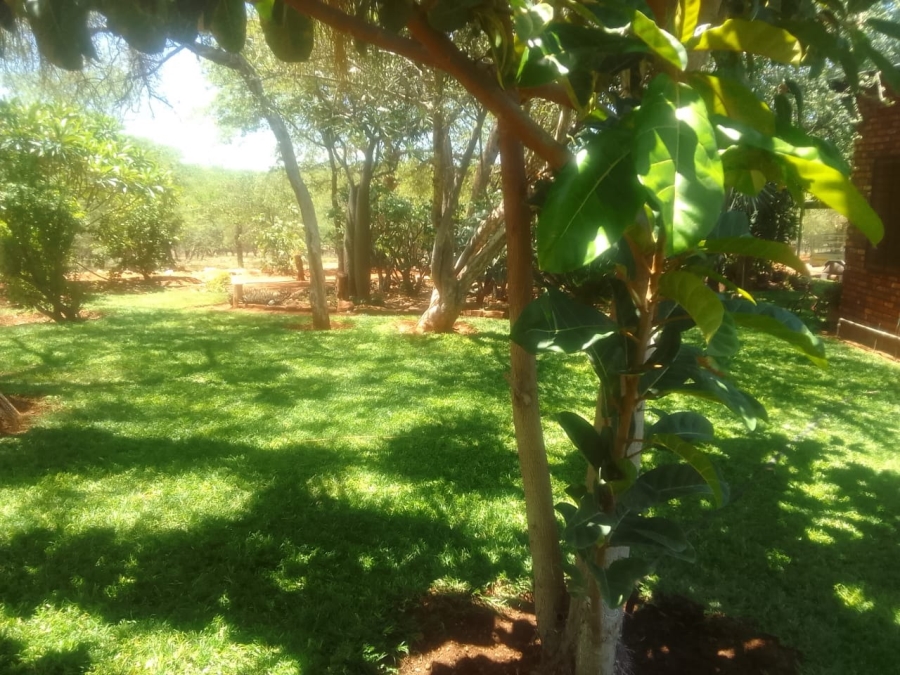 3 Bedroom Property for Sale in Musina Limpopo