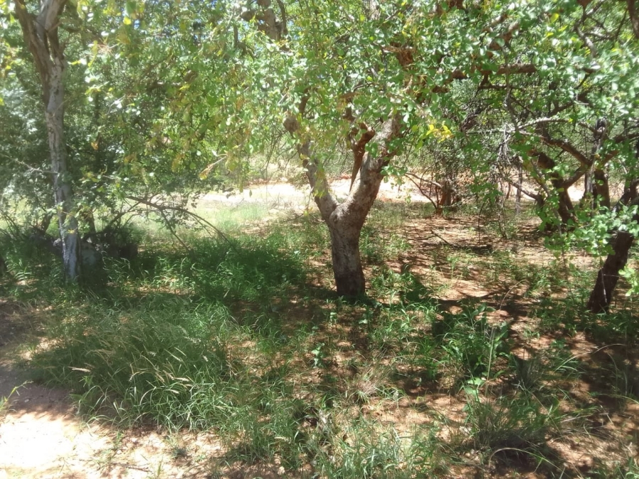 3 Bedroom Property for Sale in Musina Limpopo