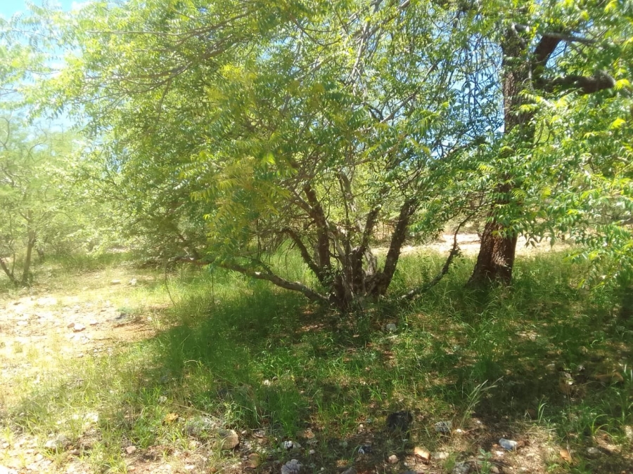 3 Bedroom Property for Sale in Musina Limpopo