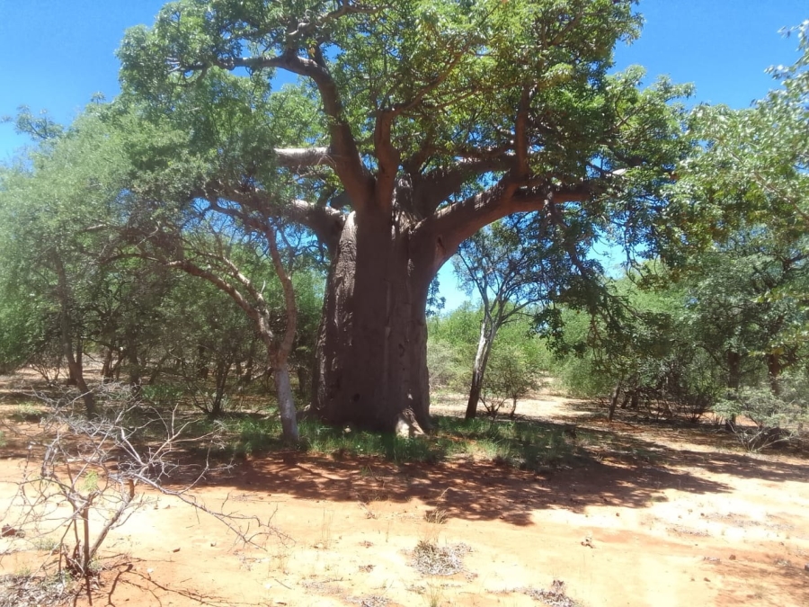 3 Bedroom Property for Sale in Musina Limpopo