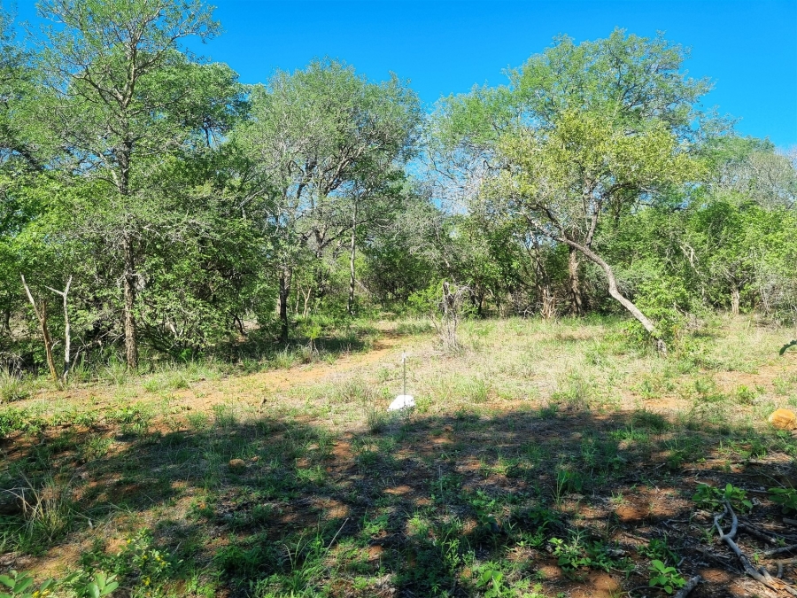 0 Bedroom Property for Sale in Moditlo Wildlife Estate Limpopo