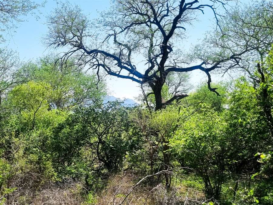 0 Bedroom Property for Sale in Moditlo Wildlife Estate Limpopo