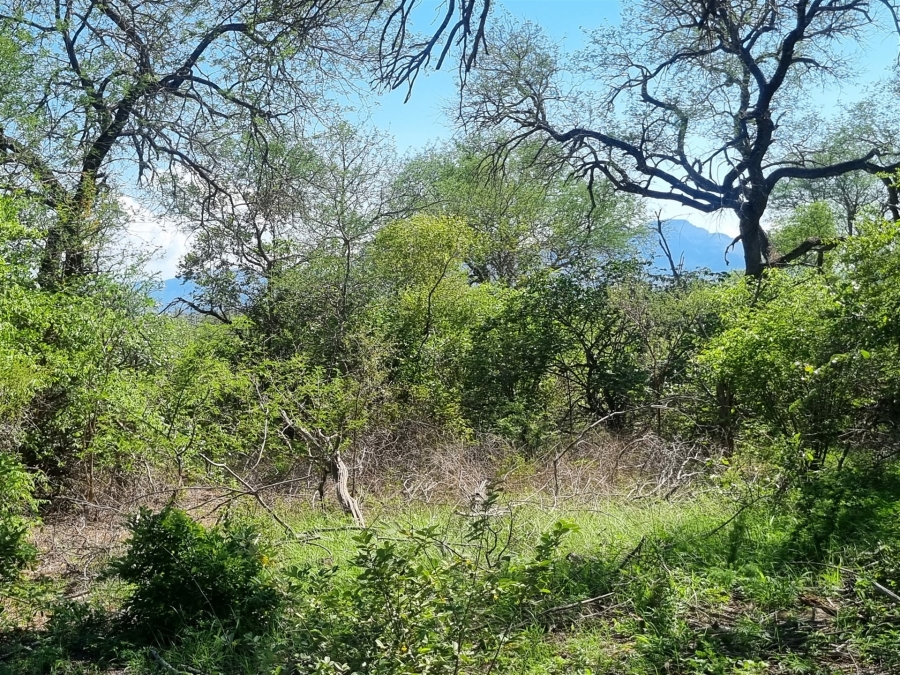 0 Bedroom Property for Sale in Moditlo Wildlife Estate Limpopo