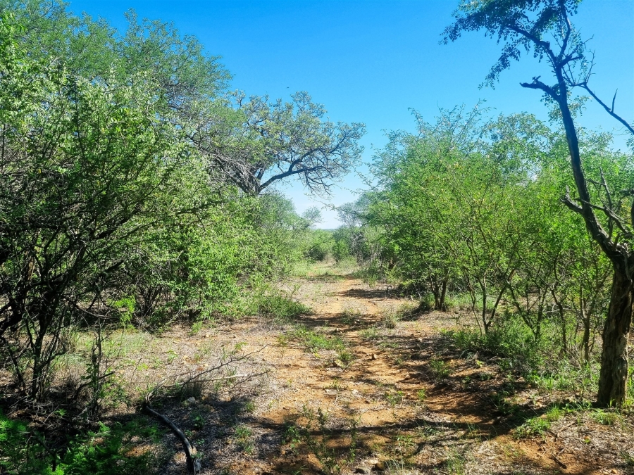 0 Bedroom Property for Sale in Moditlo Wildlife Estate Limpopo