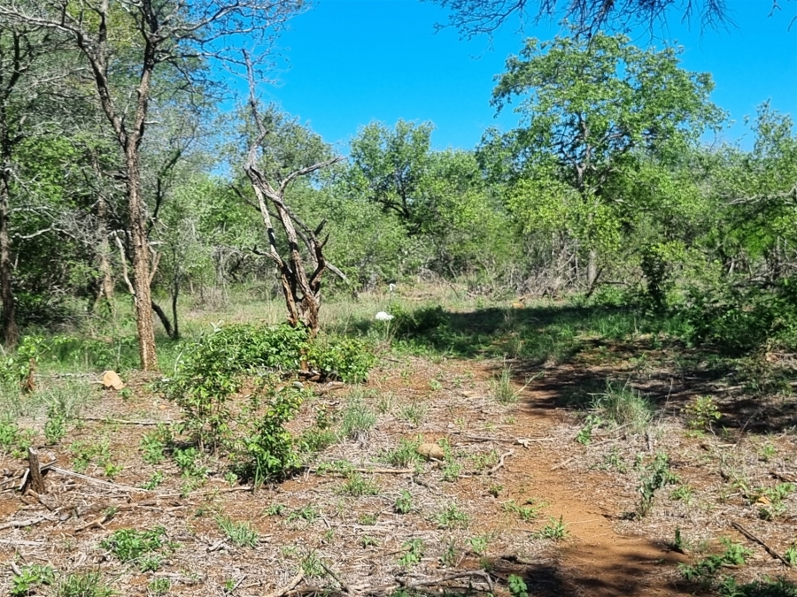 0 Bedroom Property for Sale in Moditlo Wildlife Estate Limpopo