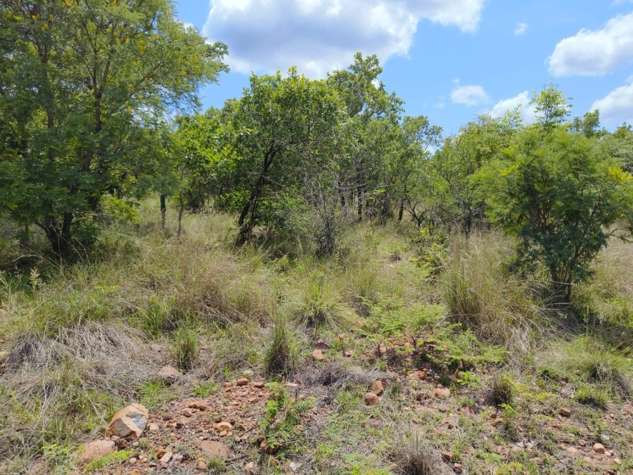 0 Bedroom Property for Sale in Intaba Indle Wilderness Estate Limpopo