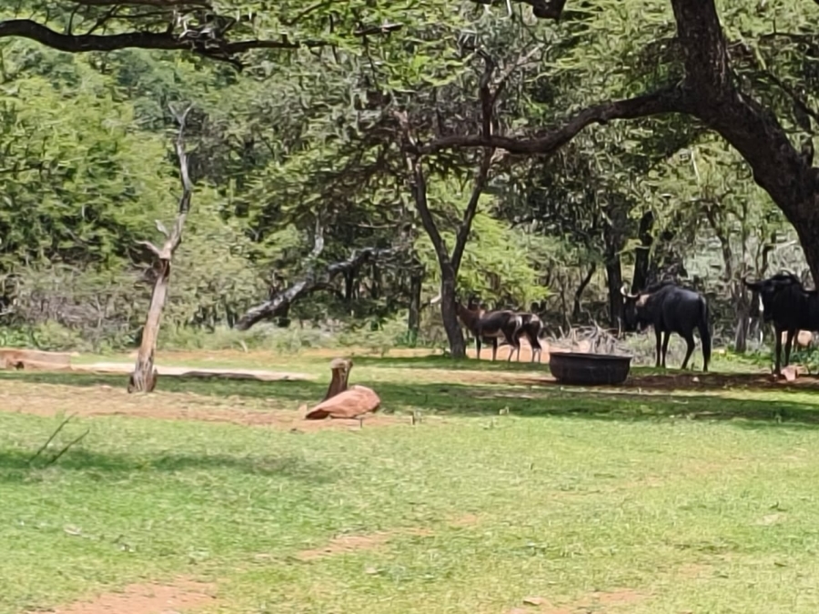 0 Bedroom Property for Sale in Intaba Indle Wilderness Estate Limpopo