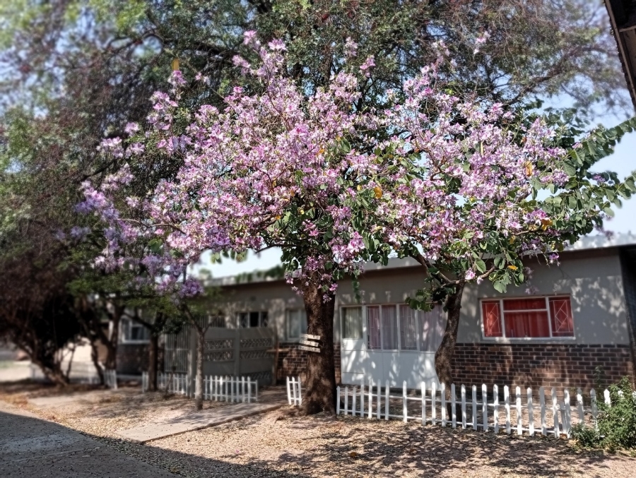 2 Bedroom Property for Sale in Bela Bela Limpopo