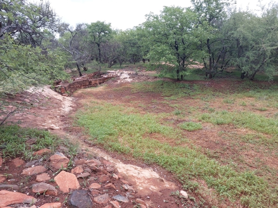 3 Bedroom Property for Sale in Musina Limpopo