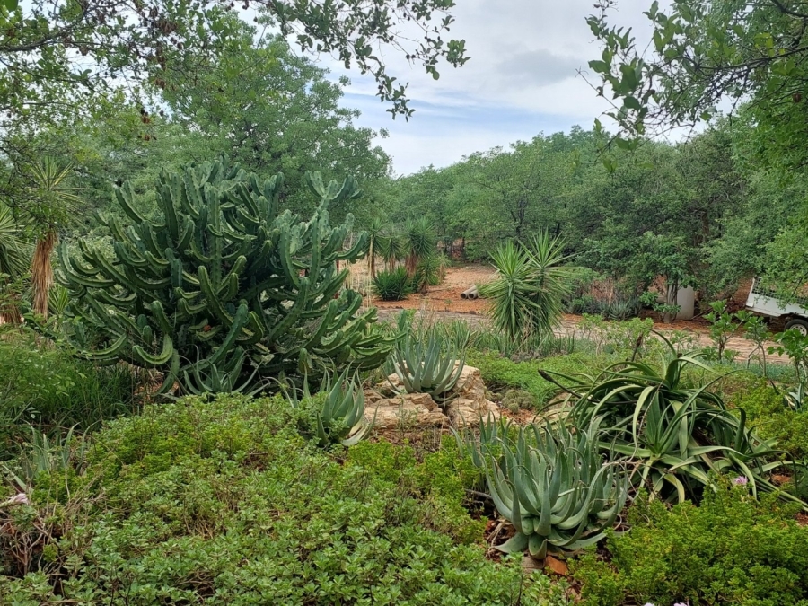 3 Bedroom Property for Sale in Musina Limpopo