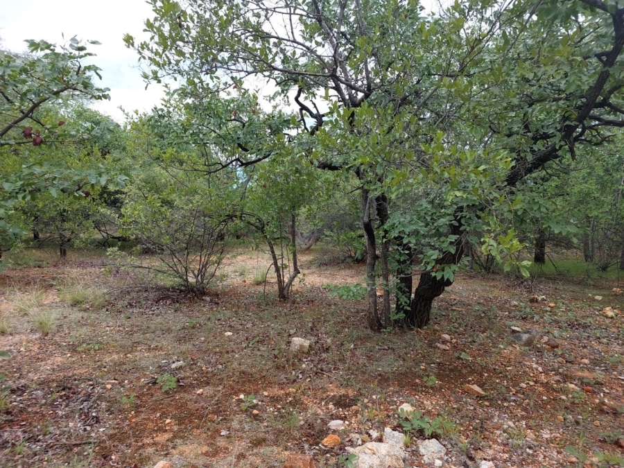 3 Bedroom Property for Sale in Musina Limpopo