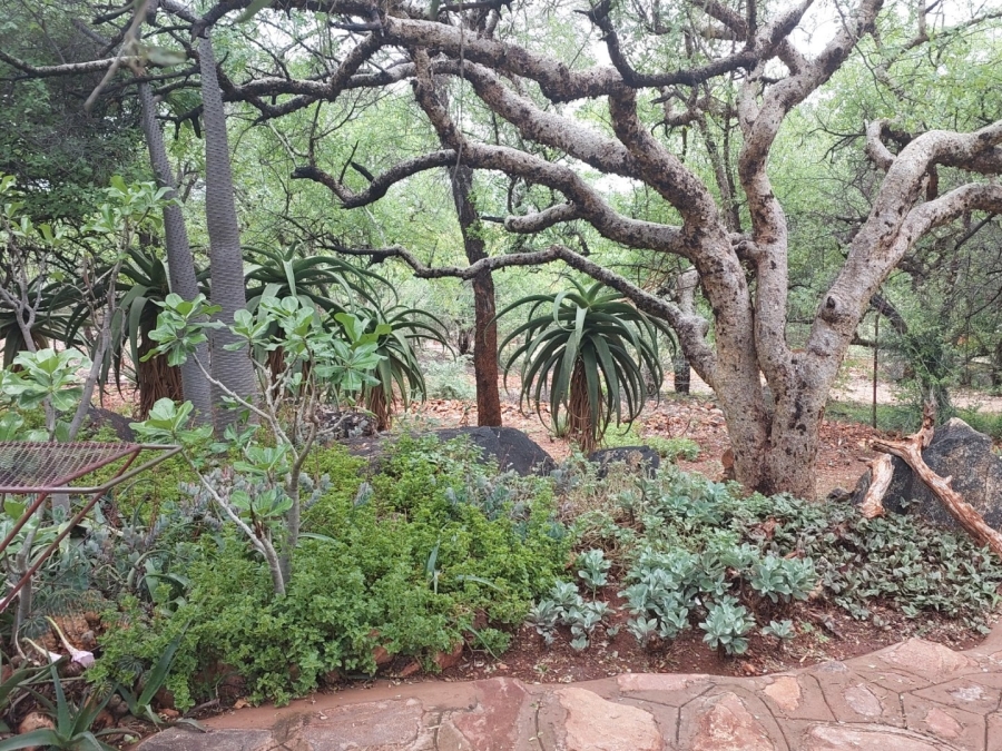 3 Bedroom Property for Sale in Musina Limpopo