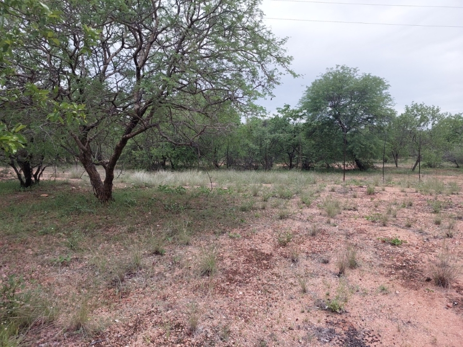 3 Bedroom Property for Sale in Musina Limpopo