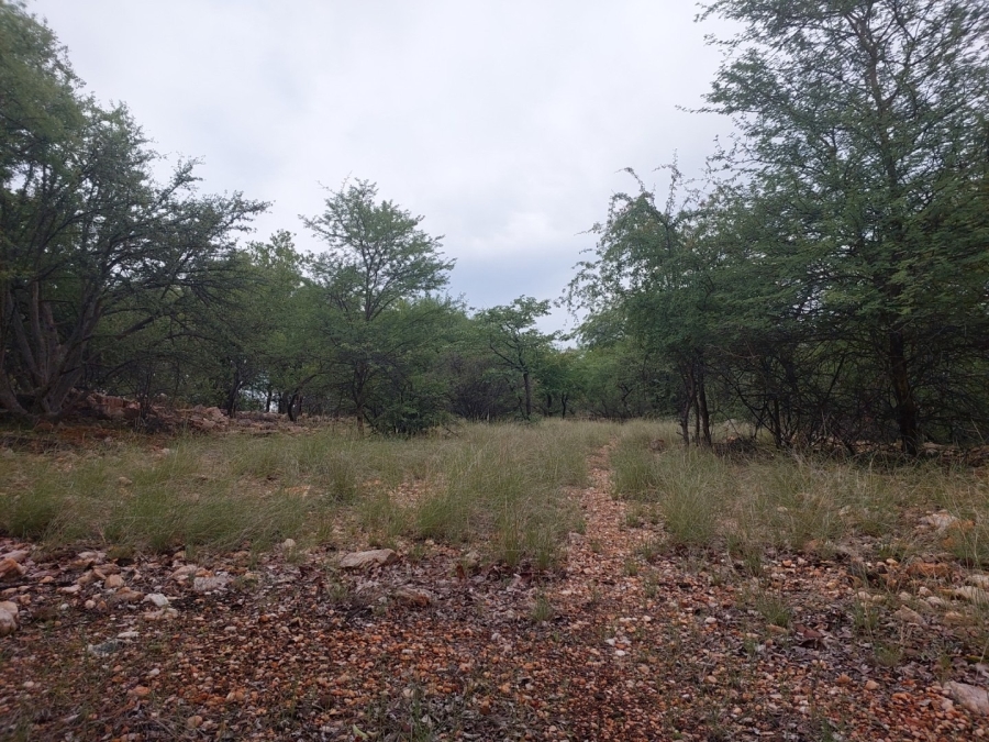 3 Bedroom Property for Sale in Musina Limpopo