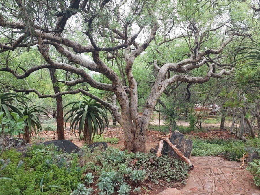 3 Bedroom Property for Sale in Musina Limpopo