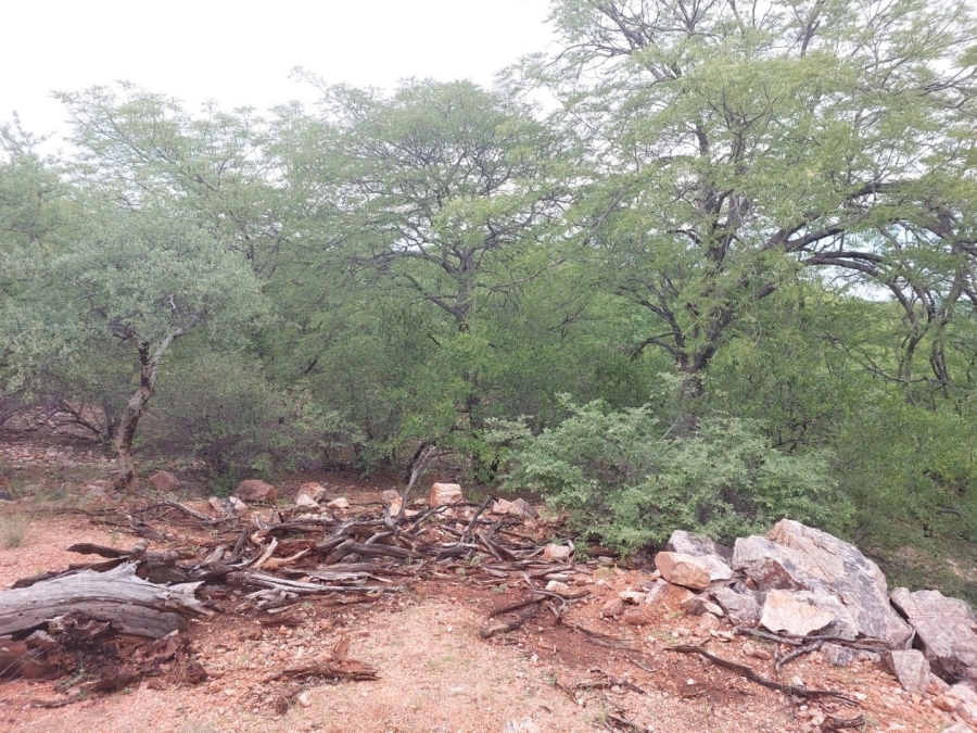 3 Bedroom Property for Sale in Musina Limpopo