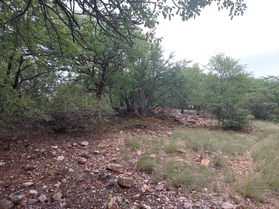 3 Bedroom Property for Sale in Musina Limpopo