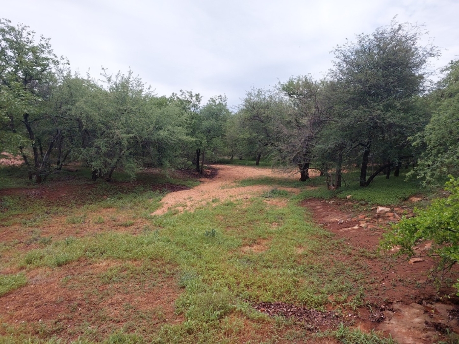 3 Bedroom Property for Sale in Musina Limpopo