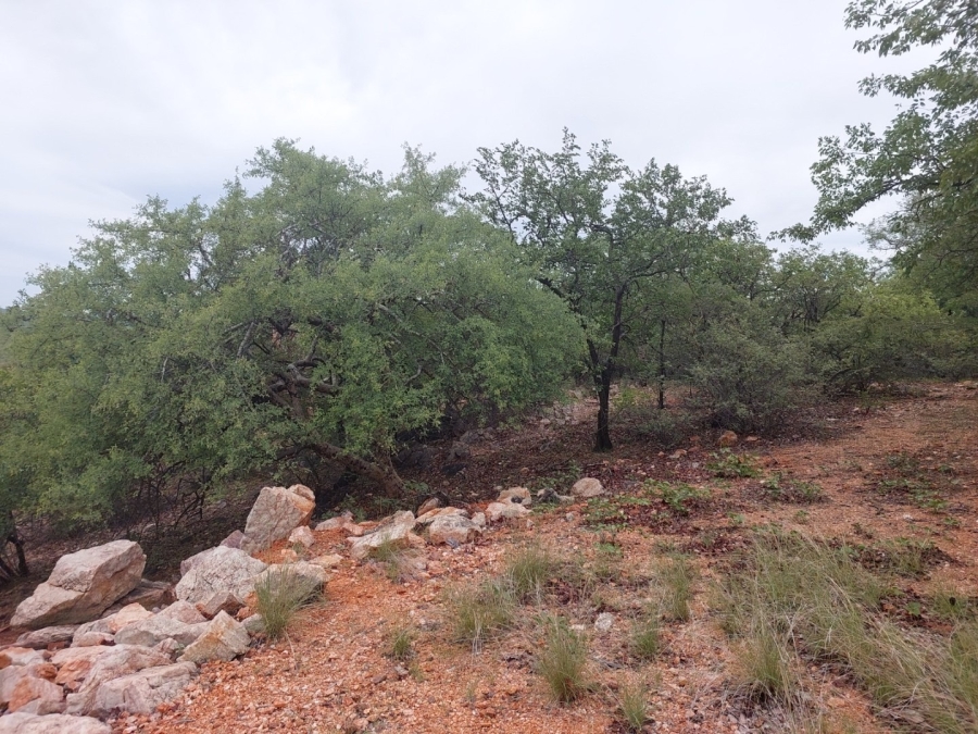 3 Bedroom Property for Sale in Musina Limpopo