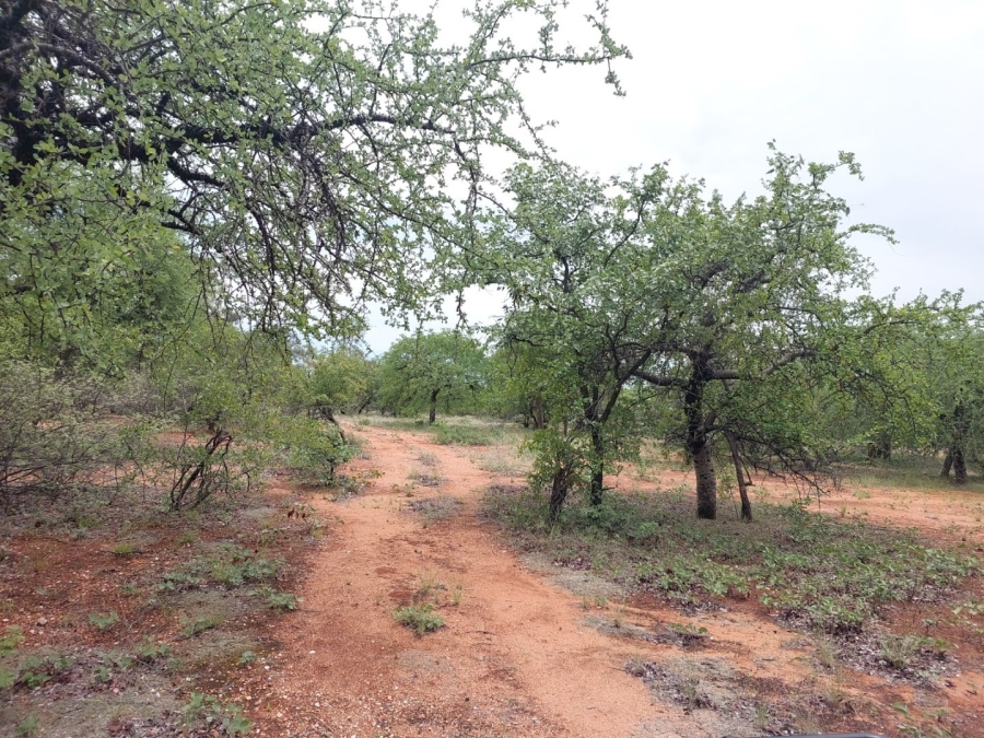 3 Bedroom Property for Sale in Musina Limpopo