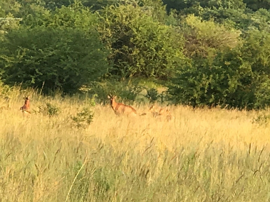 0 Bedroom Property for Sale in Verloren Estate Limpopo