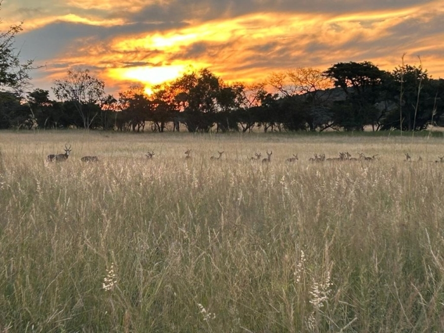 0 Bedroom Property for Sale in Verloren Estate Limpopo