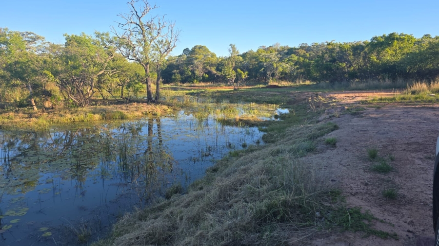 0 Bedroom Property for Sale in Verloren Estate Limpopo