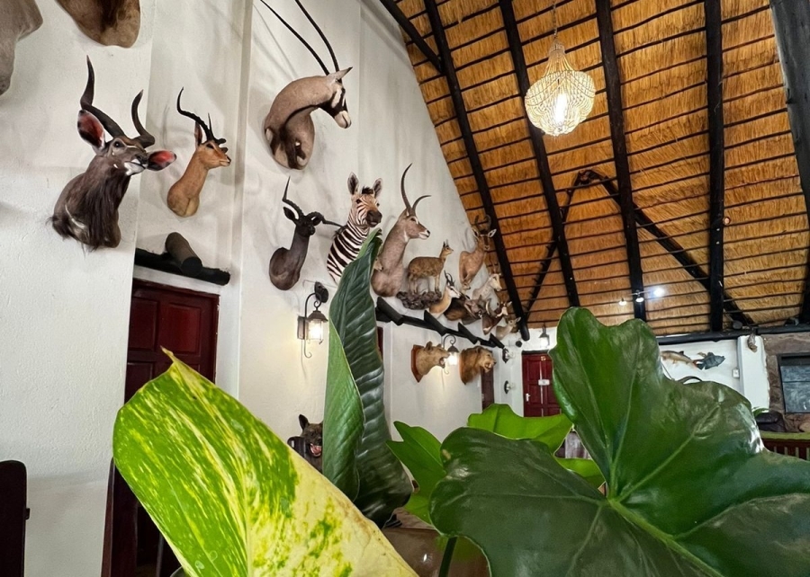 21 Bedroom Property for Sale in Alldays Limpopo