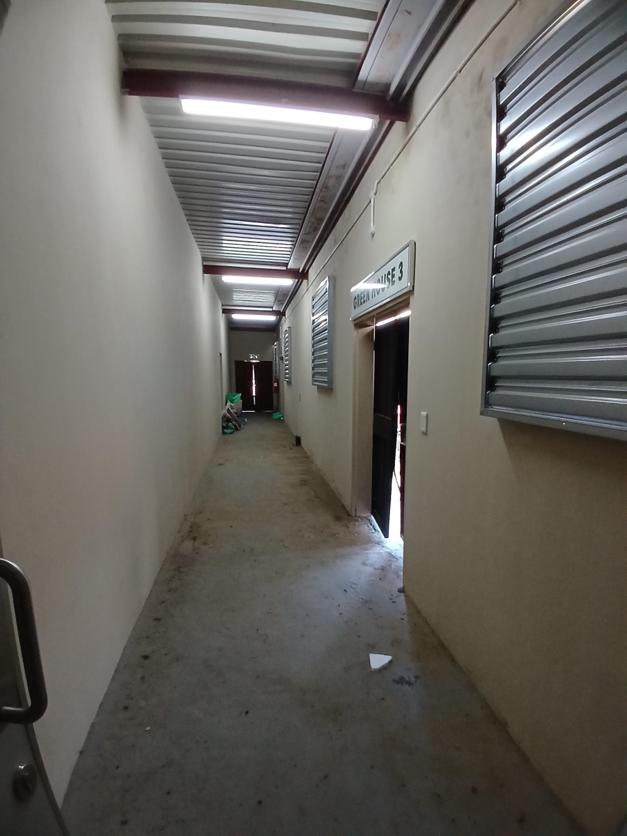 To Let commercial Property for Rent in Bela Bela Limpopo