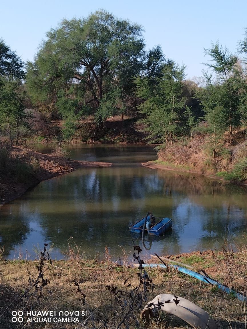 5 Bedroom Property for Sale in Tom Burke Limpopo