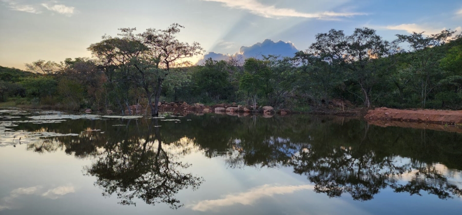 0 Bedroom Property for Sale in Vaalwater Limpopo