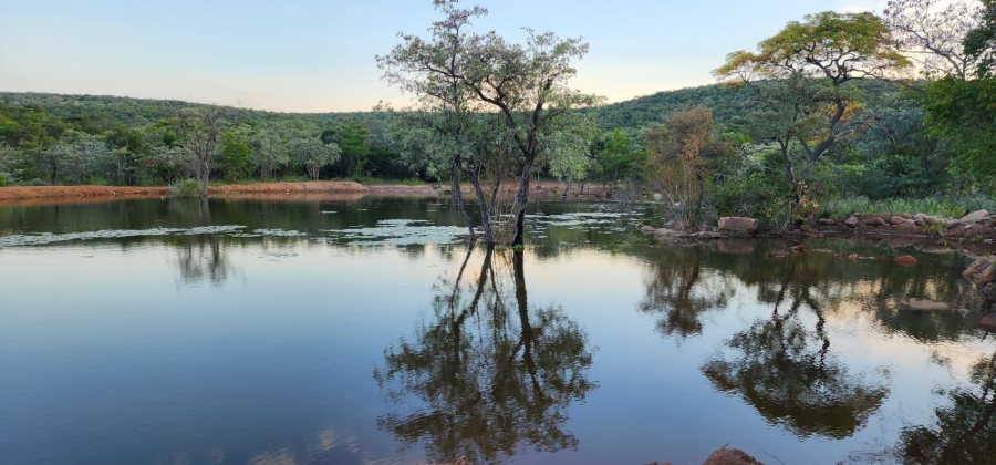 0 Bedroom Property for Sale in Vaalwater Limpopo