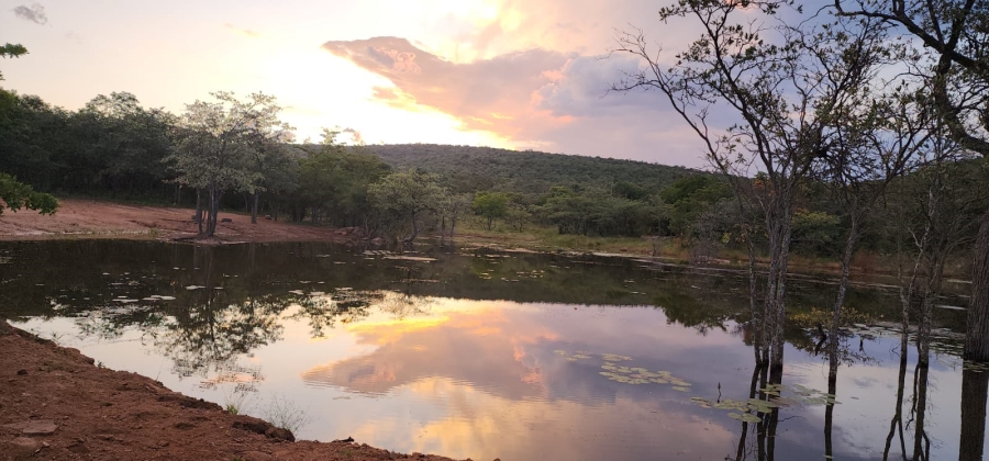 0 Bedroom Property for Sale in Vaalwater Limpopo