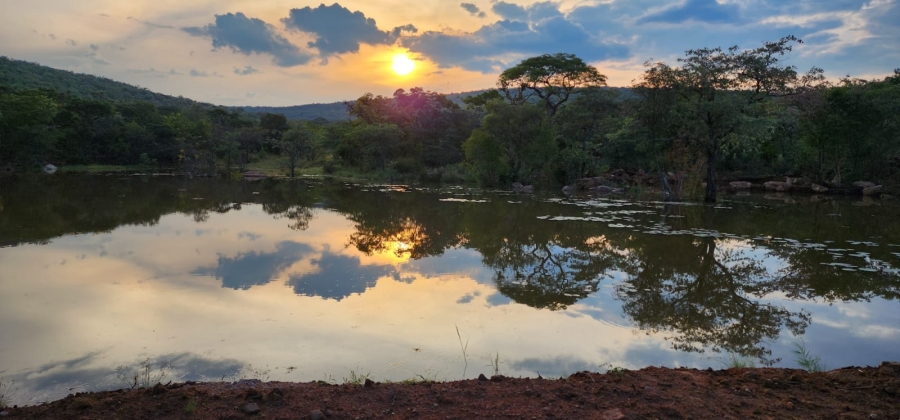 0 Bedroom Property for Sale in Vaalwater Limpopo