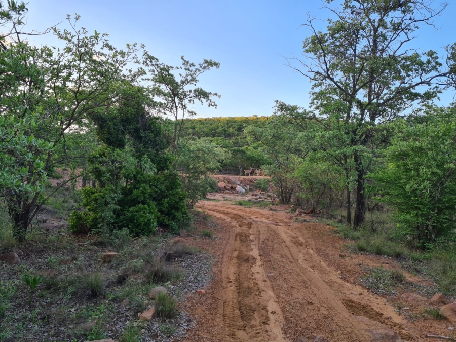 0 Bedroom Property for Sale in Vaalwater Limpopo