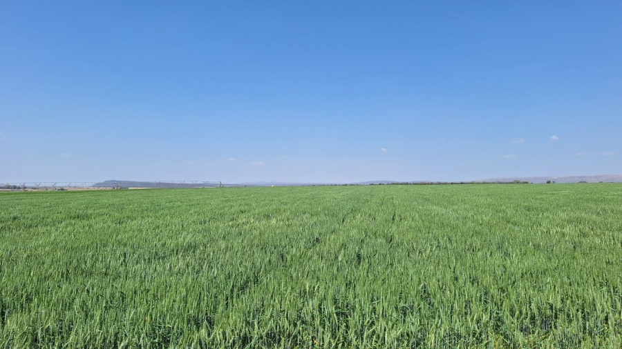 4 Bedroom Property for Sale in Alma Limpopo