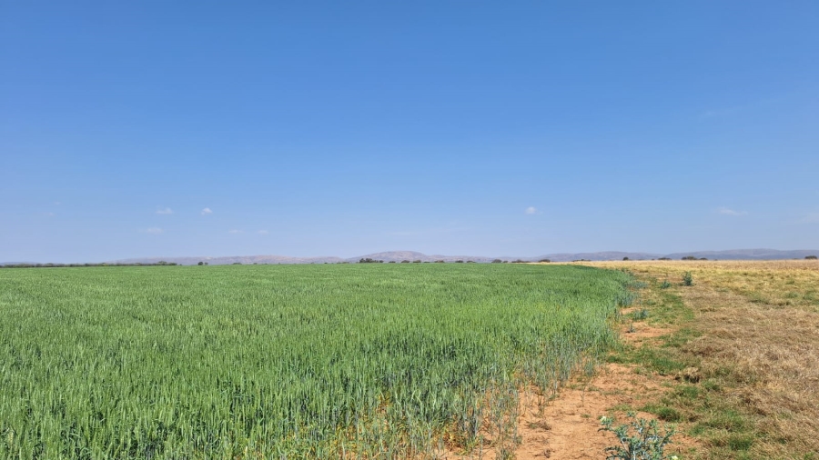 4 Bedroom Property for Sale in Alma Limpopo