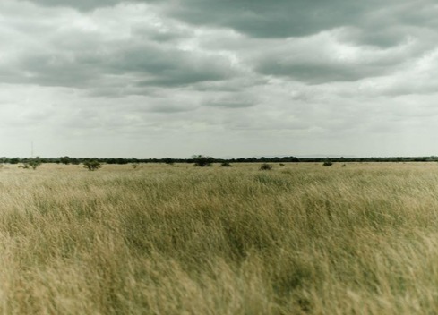 18 Bedroom Property for Sale in Tom Burke Limpopo