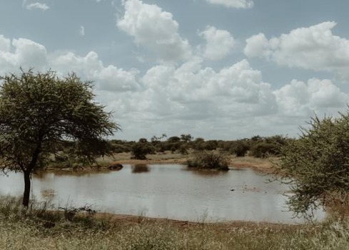 18 Bedroom Property for Sale in Tom Burke Limpopo