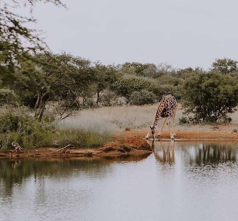 18 Bedroom Property for Sale in Tom Burke Limpopo