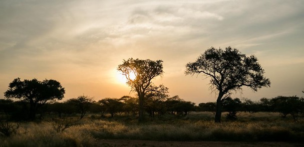 18 Bedroom Property for Sale in Tom Burke Limpopo