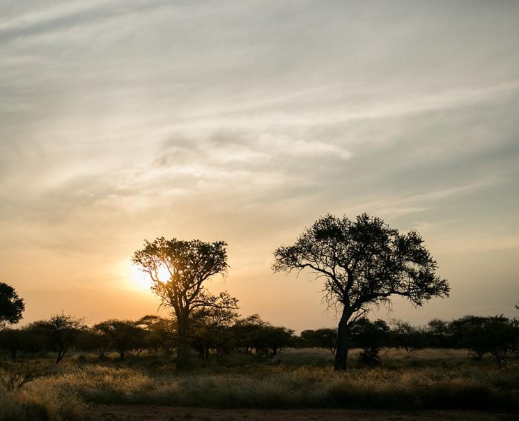 18 Bedroom Property for Sale in Tom Burke Limpopo