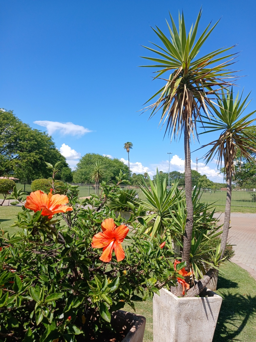 3 Bedroom Property for Sale in Bela Bela Limpopo