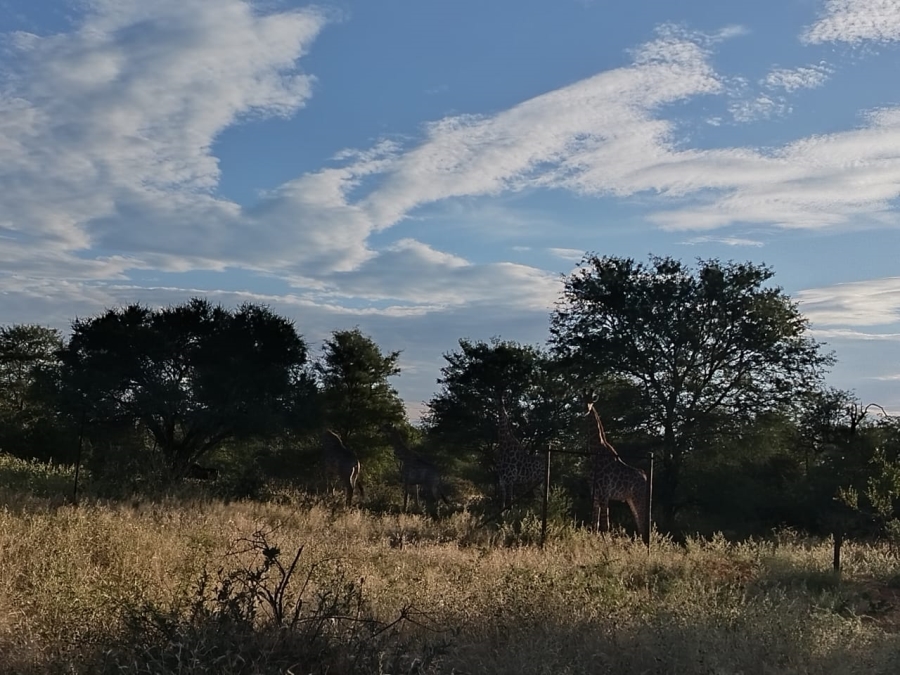 6 Bedroom Property for Sale in Tom Burke Limpopo