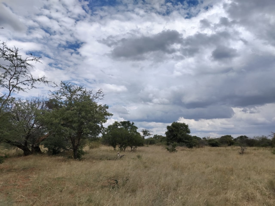 6 Bedroom Property for Sale in Tom Burke Limpopo