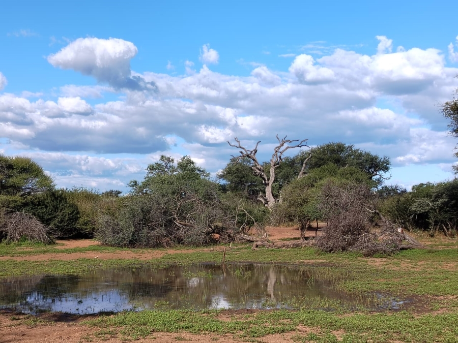 6 Bedroom Property for Sale in Tom Burke Limpopo